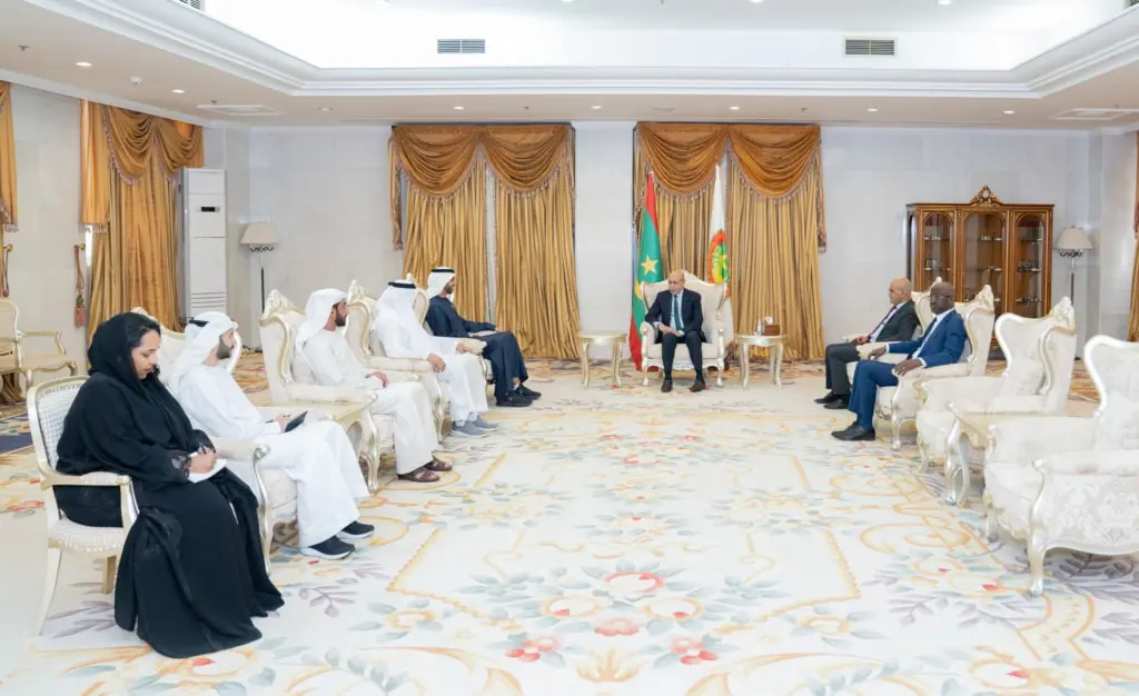 وفد دبلوماسي في لقاء رسمي